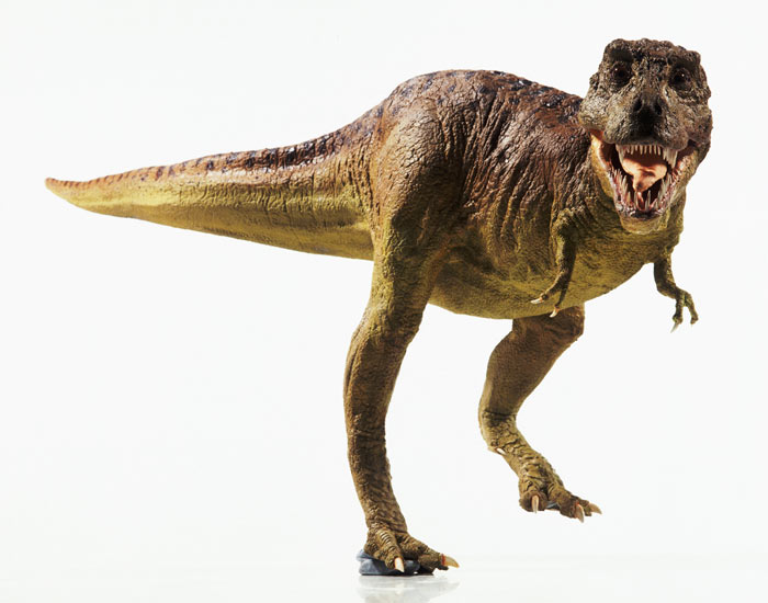 30_tyrannosaurus-rex-picture-8613.jpg