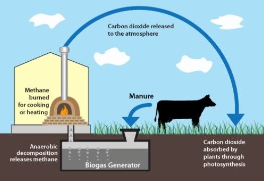 biogasCycle_ca47a0c09c.jpeg