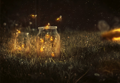 How to Create a Glowing Fireflies Photo Manipulation in Adobe ...