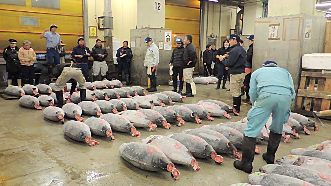 Image result for japanese tuna market
