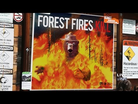 Image result for smokey bear on fire