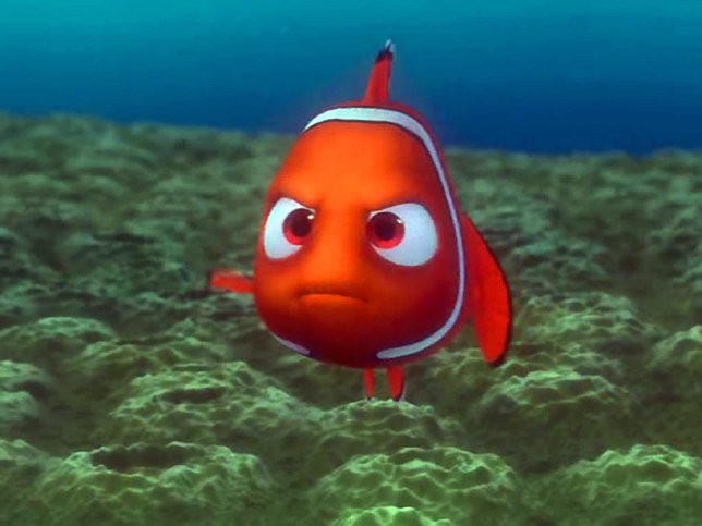 finding-nemo.jpg