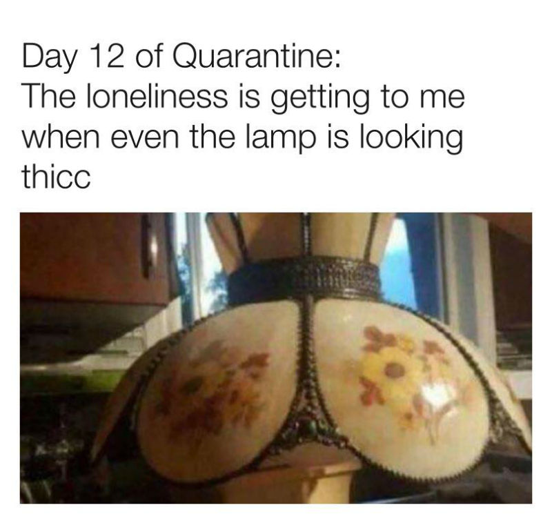 day-12-of-quarantine-the-lamp-is-looking-thicc-meme.jpg