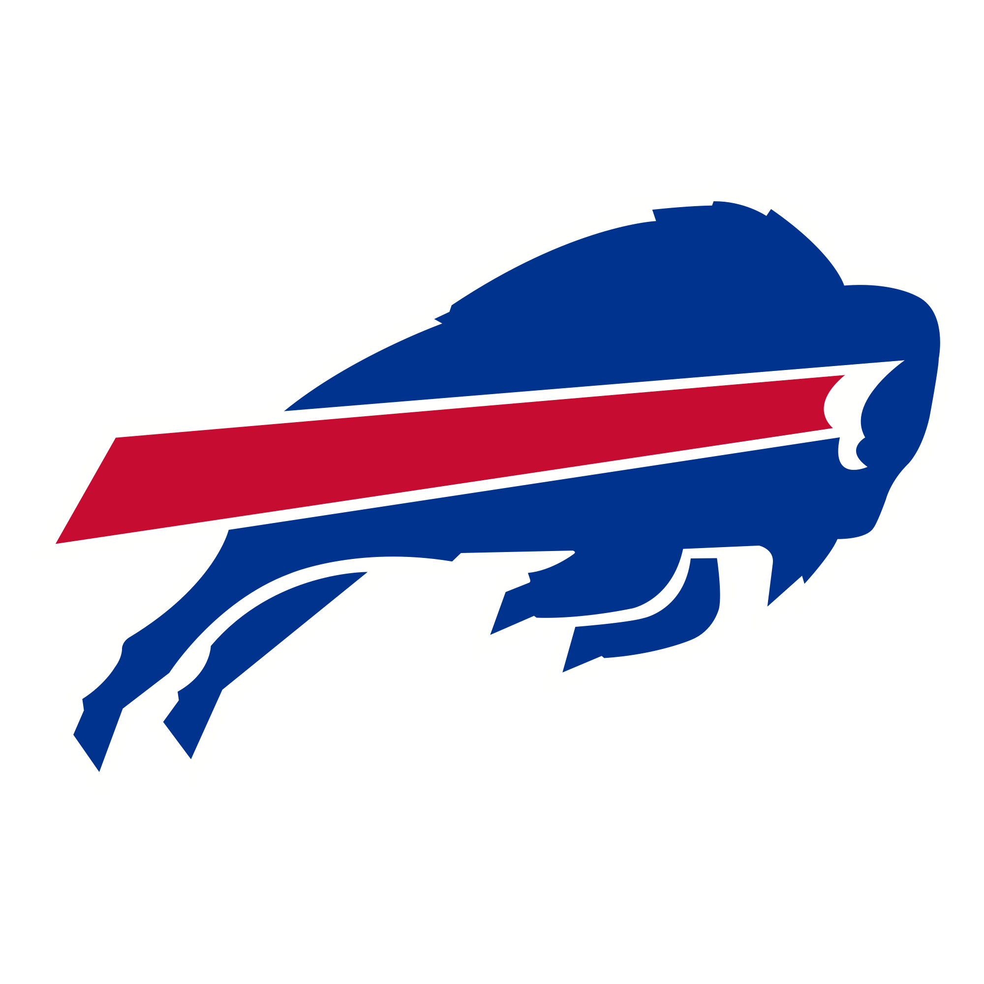 www.buffalobills.com