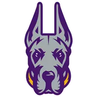 ualbanysports.com