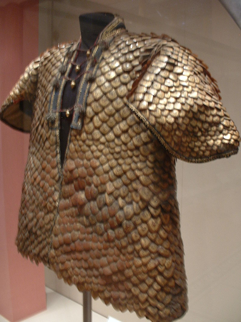 800px-Coat_of_Pangolin_scales.JPG